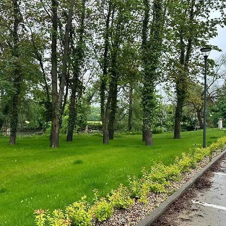 Pinia Апартаменты *